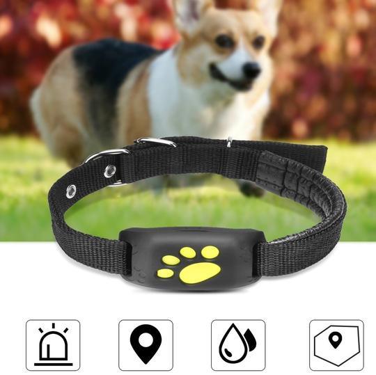 Pet TrackMaster – Il GPS definitivo per la sicurezza del tuo amico a 4 zampe!
